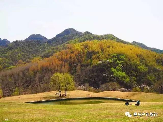 逃离空旷大街4
